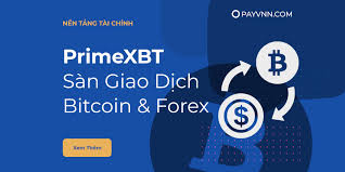 Exploring Covesting PrimeXBT A New Era in Copy Trading Exploring Covesting PrimeXBT A New Era in Copy Trading